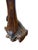 1960s Mid-Century Modern Drift Wood Table Lamps 30” - Set of 2 For Sale - Image 10 of 11