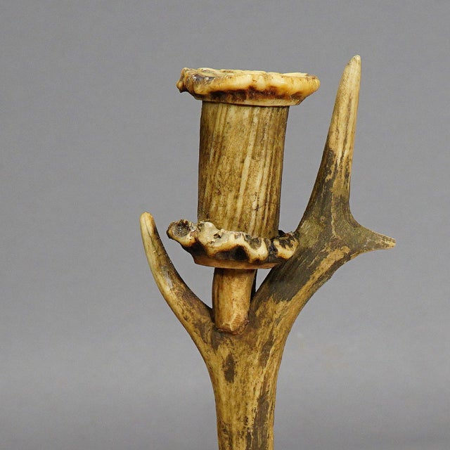 Rustic European Stylish Cabin Decor Antler Candlestick, Germany Ca. 1900 For Sale - Image 3 of 6