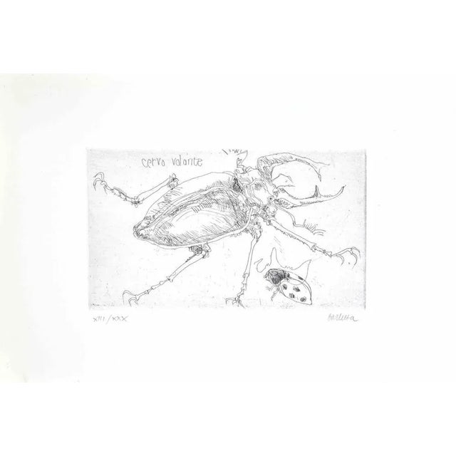 Insect is an etching realized by sergio barletta in 1974. Hand-signed in pencil on the lower right. Numbered on the lower...