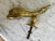 Antique Brass Dolphin Door Knocker with Maltese Cross For Sale - Image 5 of 6