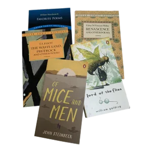 Vintage Classic Paperback Set of Novels and Poetry, Set of Five