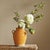 Apple Branches 20" St/4 For Sale In Chicago - Image 6 of 6
