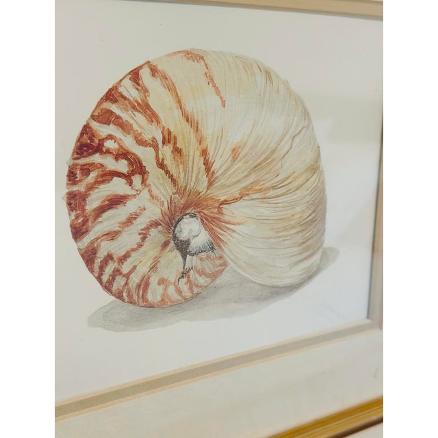 1970s Set of Three Seashell Paintings, Framed For Sale - Image 5 of 8