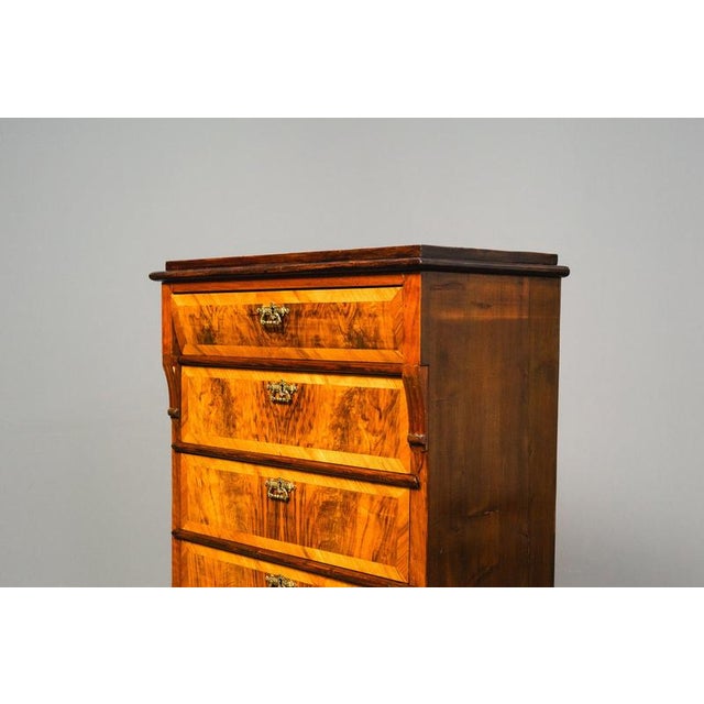 Tall Antique Gründerzeit Chest of Drawers, Late 19th Century For Sale - Image 15 of 18