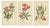 Botanical Prints, 1897, Paper, Set of 3 For Sale - Image 6 of 7