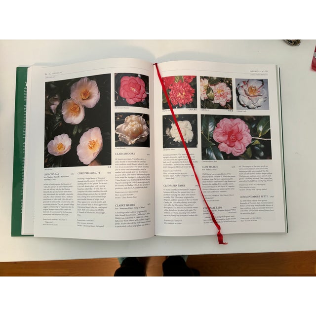 1990s 1990s Sterling Macaboy"s "The Illustrated Encyclopedia of Camellias" For Sale - Image 5 of 9
