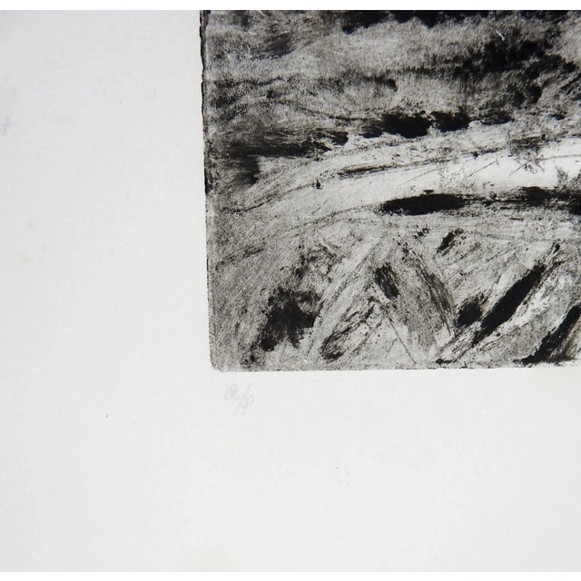 Vintage 1991 abstract botanical etching on paper by Mary Reid (20th century) Texas. Faintly signed, dated and numbered A/P...