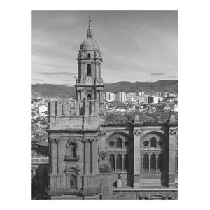 Malaga Cathedral Photograph by Don Ware
