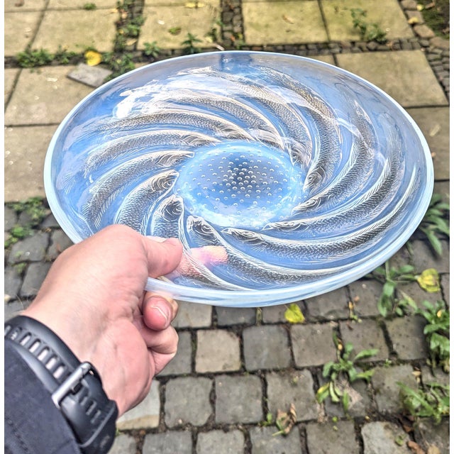 Glass Opalescent Glass Fish No. 1 Plate from René Lalique, France, 1931 For Sale - Image 7 of 8