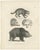 Raccoon and Bear, 1836, Paper For Sale - Image 10 of 10