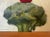 2010s Broccoli and Tomato Still Life Oil Painting For Sale - Image 5 of 7