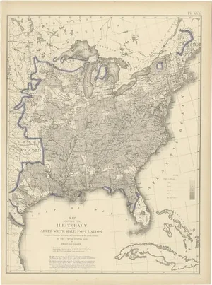 Antique Chart of the US Adult Male Illiteracy in 1870, 1874