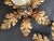 Hollywood Regency Florentine Flower-Shaped Gilt Flush Mount with Hand-Forged, Floral, Gilded with Gold Leaf in the style of Hans Kögl, Italy, 1960s For Sale - Image 17 of 18