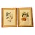 Traditional French Botanic Prints in Burled Wood Frames, a Pair For Sale