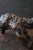 Brown Japanese Wood Burl Animal-Form Object / Mitate Folk Art / 20th Century / Sc169 For Sale - Image 8 of 17