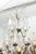 Bronze Exceptional Early 20th C. Louis XV Silvered Bronze & Crystal Chandelier For Sale - Image 8 of 9