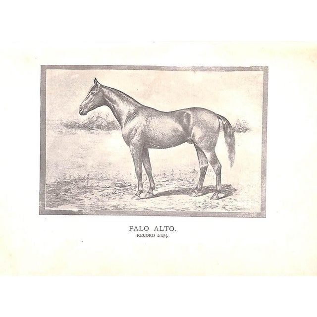 "Training the Trotting Horse" 1891 Marvin, Charles For Sale - Image 4 of 10