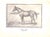 "Training the Trotting Horse" 1891 Marvin, Charles For Sale - Image 4 of 10