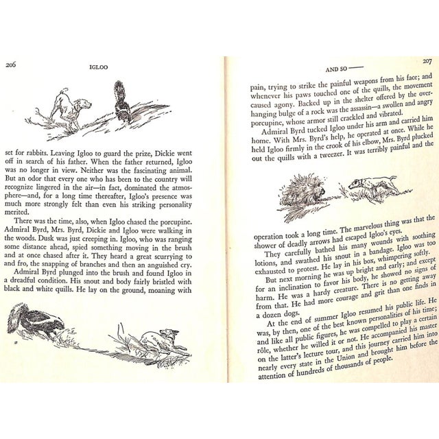 1930s "Igloo" 1931 Walden, Jane Brevoort For Sale - Image 5 of 12