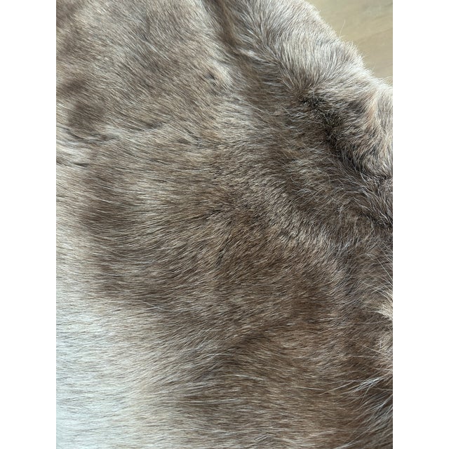 Brown Cb2 Reindeer Hide Acrylic Benches - Pair For Sale - Image 8 of 9
