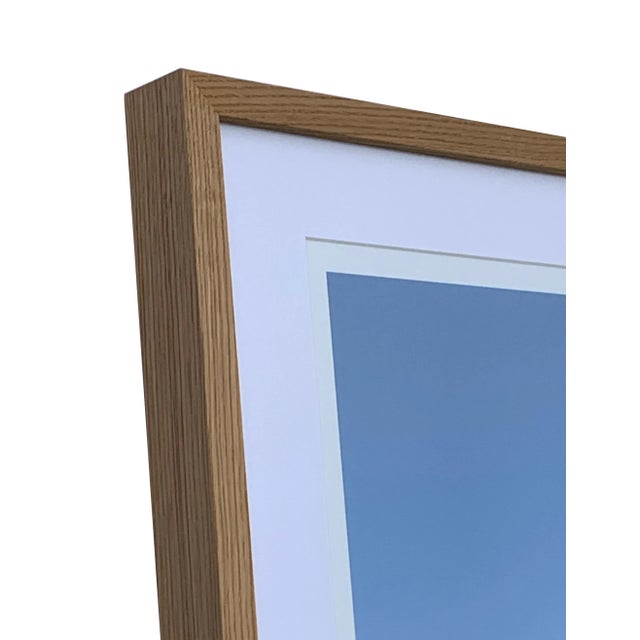 Contemporary Original Cactus Color Photography Signed and Numbered For Sale - Image 3 of 3