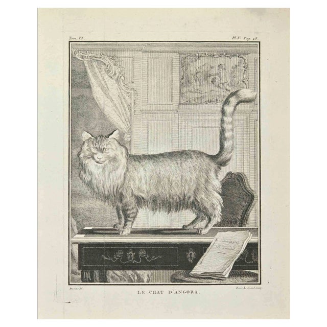 Louis Legrand, Le Chat d'Angora, Etching, 1771 For Sale