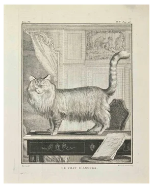Louis Legrand, Le Chat d'Angora, Etching, 1771