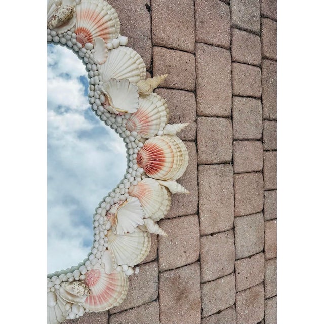 1970s Miami Beach Monumental Coastal Seashell Mirror For Sale - Image 10 of 10