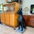 An impressive vintage mid-century large scale black chalkware great dane statue. Ready to stand guard this life size dog...