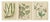 Early 19th Century Botanical Illustrations, 1819, Paper, Set of 3 For Sale - Image 5 of 5