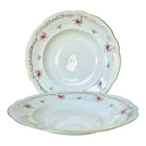 Vintage Hutschenreuther Abt Paul Müller Selb Germany Werdenfels Fine China Soup Bowls Set of 2