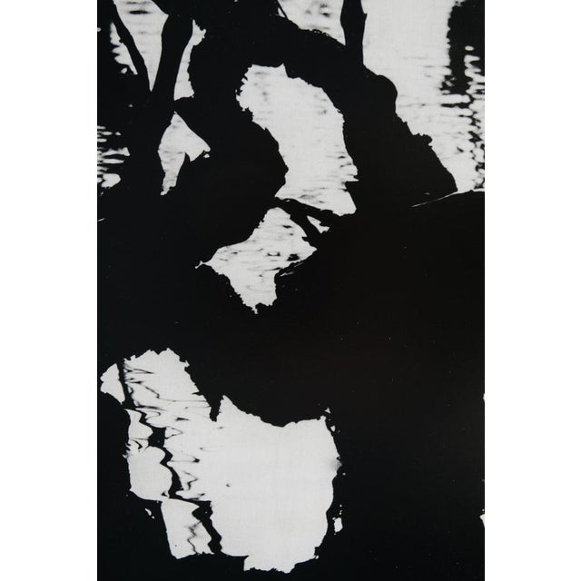 Modern Lucien Clergue, Fourgues, Etching For Sale - Image 3 of 6