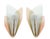 Wall Lamps in Brass and Shaped Glass by Max Ingrand for Fontana Arte, 1950s, Set of 2, in Very Good conditions. Designed...