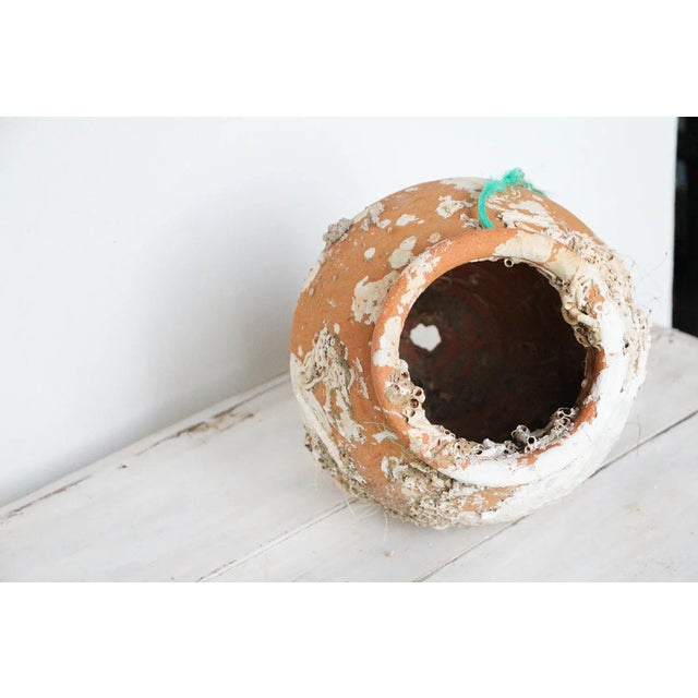 19th Century Antique Terracotta Octopus Trap, Octopus Terracotta Undersea Pot For Sale - Image 10 of 13