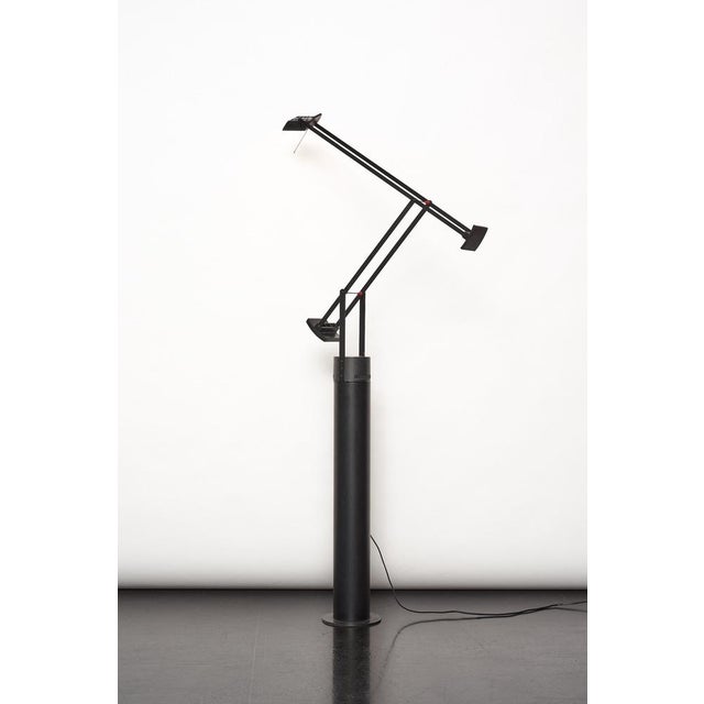 Tizio 35 terra floor lamp designed by richard sapper for artemide, 1971. The tizio lamp was revolutionary! Black, angled,...
