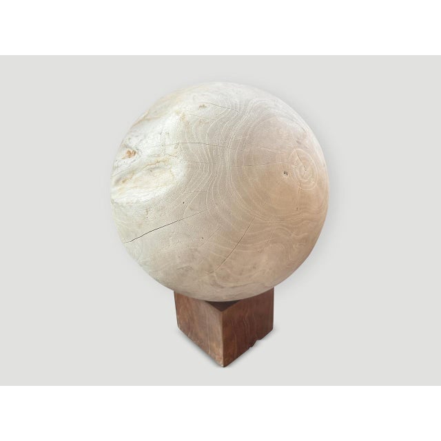 Cream Andrianna Shamaris Sculptural Bleached Sphere on a Stand For Sale - Image 8 of 18