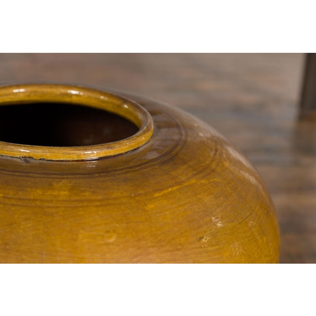 Chinese Vintage Porcelain Low Squat Planter with Yellow Mustard Glaze For Sale - Image 11 of 12