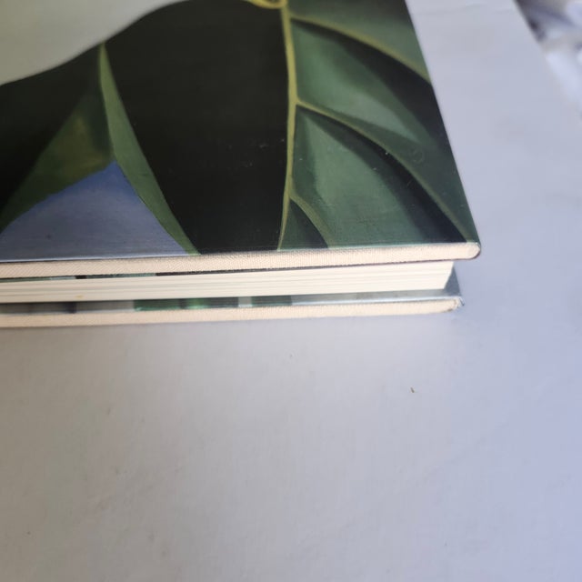 1987 Georgia O'Keeffe : One Hundred Flowers. Knopf, 1st Edition Large Hardback For Sale - Image 10 of 13