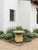Monumental Vintage Cast Stone Garden Mushroom For Sale - Image 11 of 12