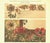This is a rare beauty. It is a French antique Art Nouveau botanical chromolithograph that came from an unbound album...