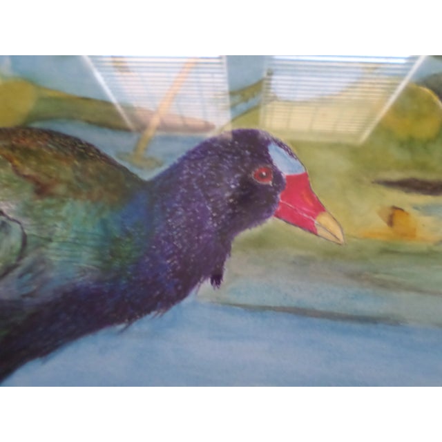 Paper 1970s "Purple Gallinule Bird in Pond" Watercolor Painting, Framed For Sale - Image 7 of 13