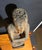 Wood Antique Filipino Ifugao Bulul Wooden Tribal Ritual Sculpture For Sale - Image 7 of 8