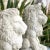 A pair of two cast concrete stone lions. Such a wonderful way to add a regal look to an entryway. (Or perhaps even a...