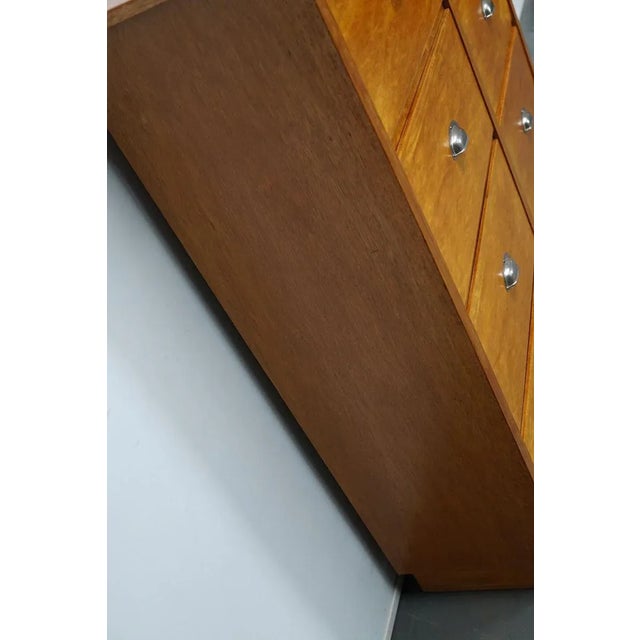 German Oak Apothecary Cabinet, Mid-20th Century For Sale - Image 10 of 18