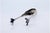 Silver Ice Tongs in the Shape of Claws, in Good conditions. Designed 1920 to 1949