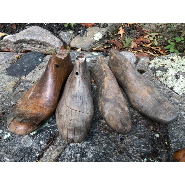 Brown Vintage Wooden Shoe Forms - Set of 4 For Sale - Image 8 of 8