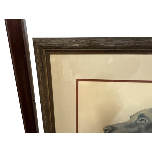 Louis Frisino Signed Limited Edition Chocolate Labrador Retriever Print #577/600 For Sale - Image 4 of 7