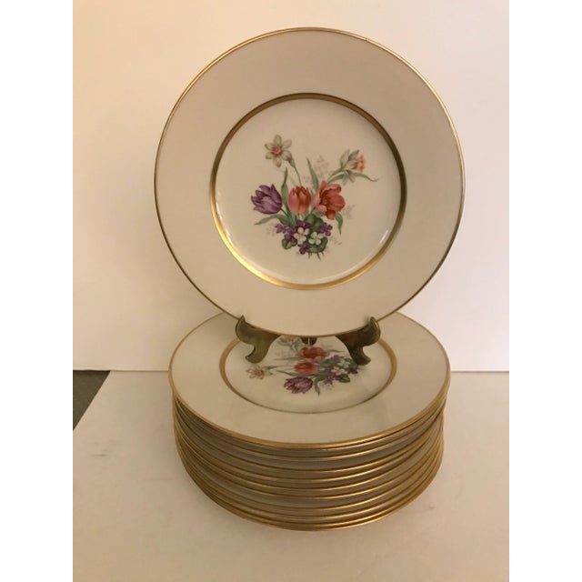 Ceramic Vintage Botanical Accent Luncheon Plates Tatter of Trenton - Set of 12 For Sale - Image 7 of 7