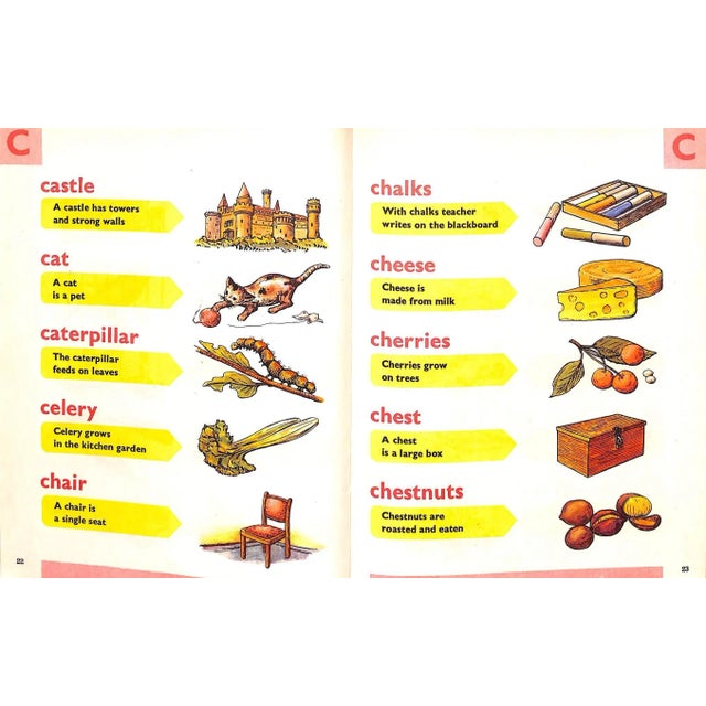 Your Very Own Picture Dictionary For Sale - Image 4 of 7