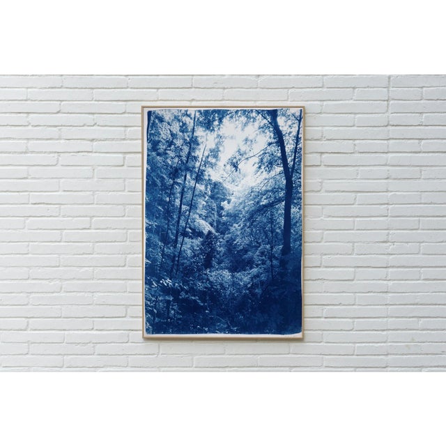 This is an exclusive handprinted limited edition of a cyanotype print. This beautiful image shows the subtle afternoon...